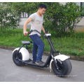 Proveedor de China 1000W Scooter eléctrico con Bluetooth (JY-ES005)